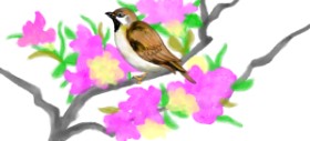 Drawing of Sparrow by Debidolittle