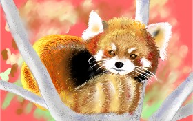 GJP の レッサーパンダ の絵