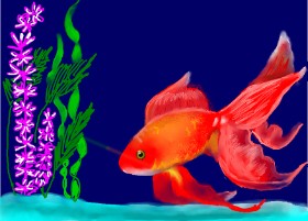 SAM AKA MARGARET 🙄 の 金魚 の絵