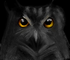 Sova - autor: Lou