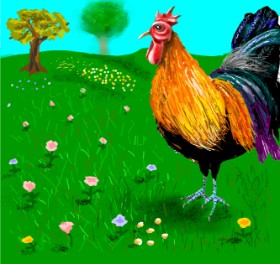 Drawing of Chicken by Andromeda