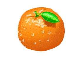 Sam の オレンジ の絵